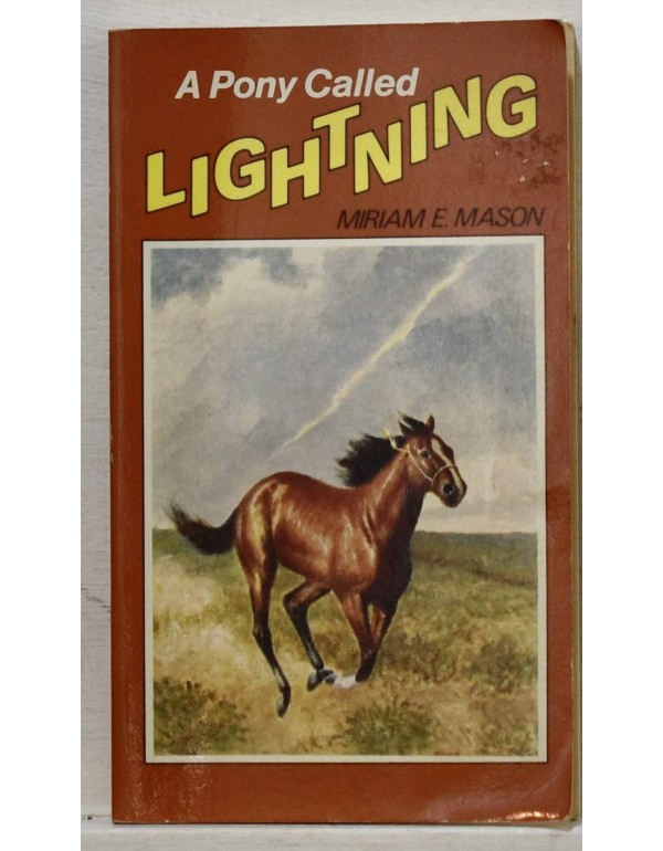 Pony Called Lightning