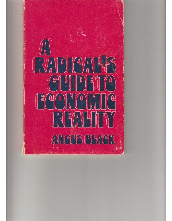 A radical's guide to economic reality