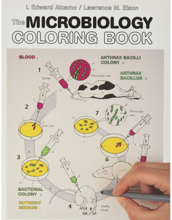 The Microbiology Coloring Book