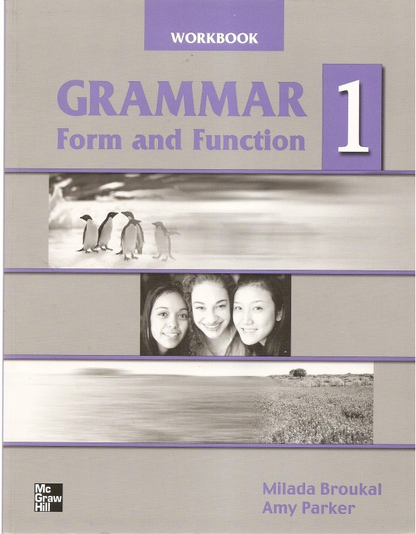 Grammar Form and Function 1 Workbook