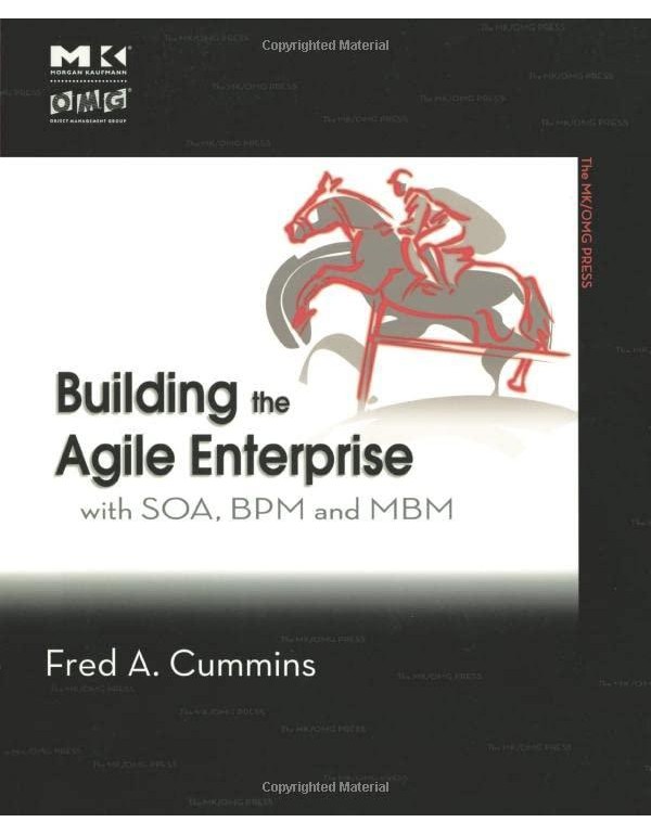 Building the Agile Enterprise: With SOA, BPM and M...