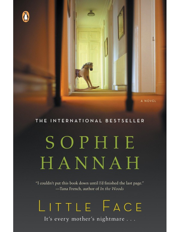 Little Face: A Zailer and Waterhouse Mystery (A Za...