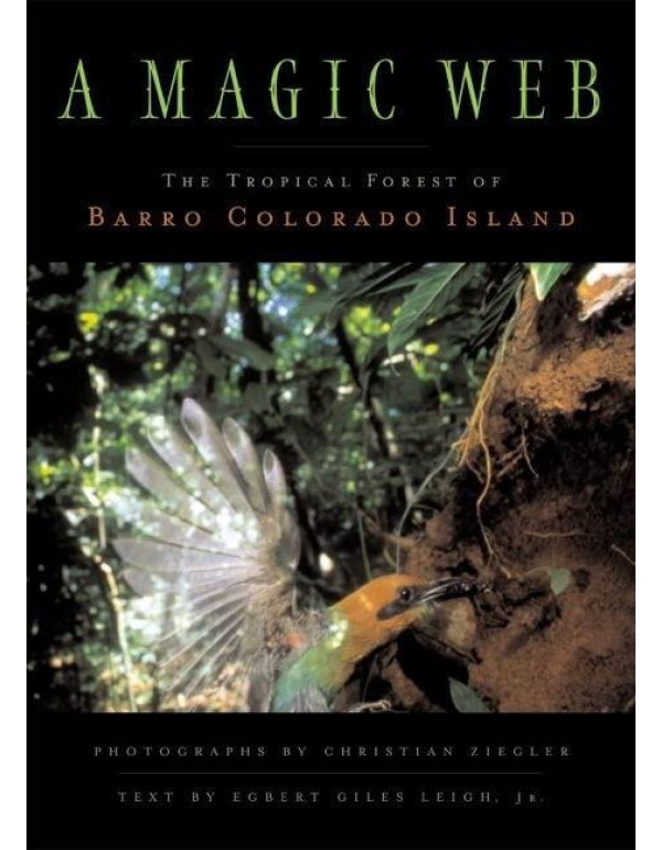 A Magic Web: The Forest of Barro Colorado Island