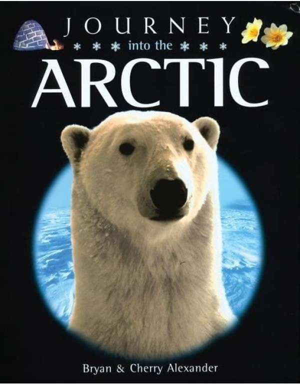 Journey into the Arctic