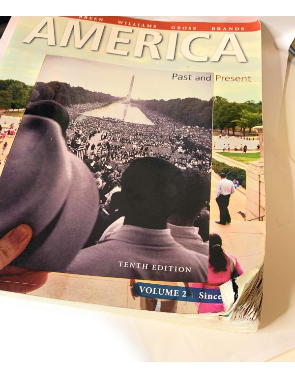 America: Past and Present, Volume 2 (10th Edition)