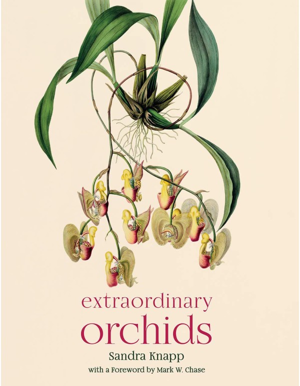 Extraordinary Orchids