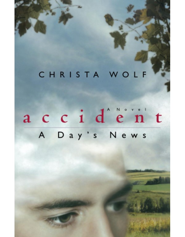 Accident: A Day's News: A Novel (Phoenix Fiction)