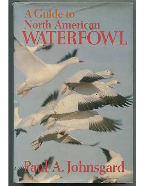 A Guide to North American Waterfowl