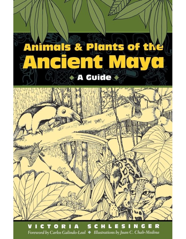 Animals and Plants of the Ancient Maya: A Guide