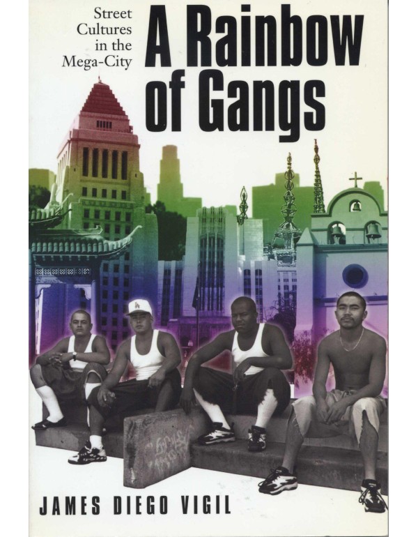 A Rainbow of Gangs: Street Cultures in the Mega-Ci...