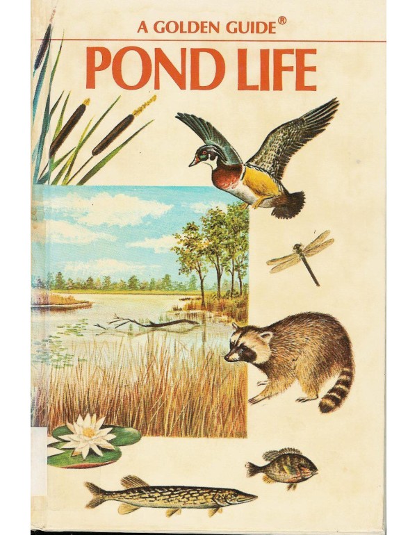 Pond Life (Golden Guides)