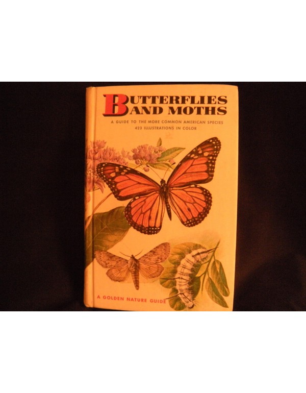 Butterflies and Moths (Golden Guides)