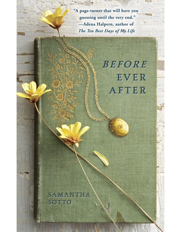 Before Ever After: A Novel