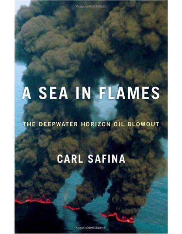 A Sea in Flames: The Deepwater Horizon Oil Blowout