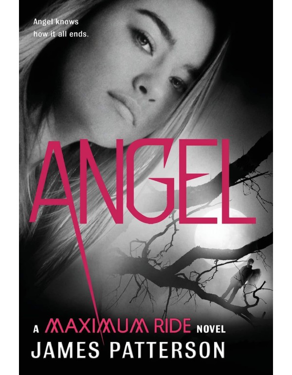 Angel: A Maximum Ride Novel (Maximum Ride, 7)