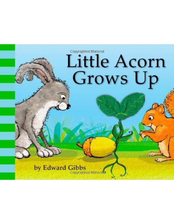 Little Acorn Grows Up