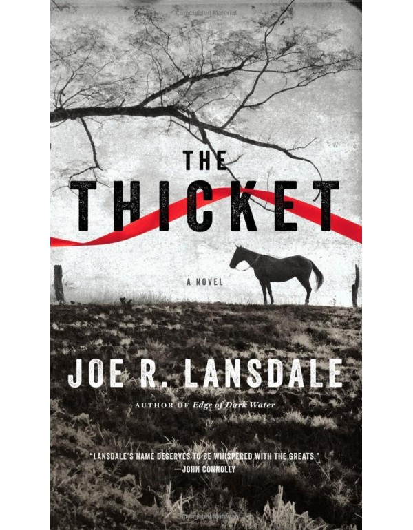 The Thicket