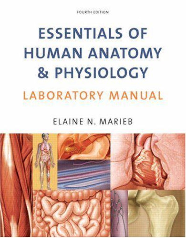 Essentials of Human Anatomy & Physiology Laborator...