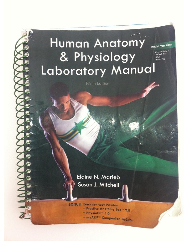 Human Anatomy & Physiology: Main Version