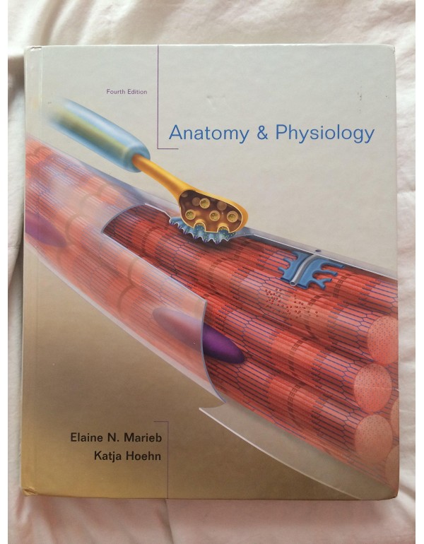 Anatomy & Physiology, 4th Edition