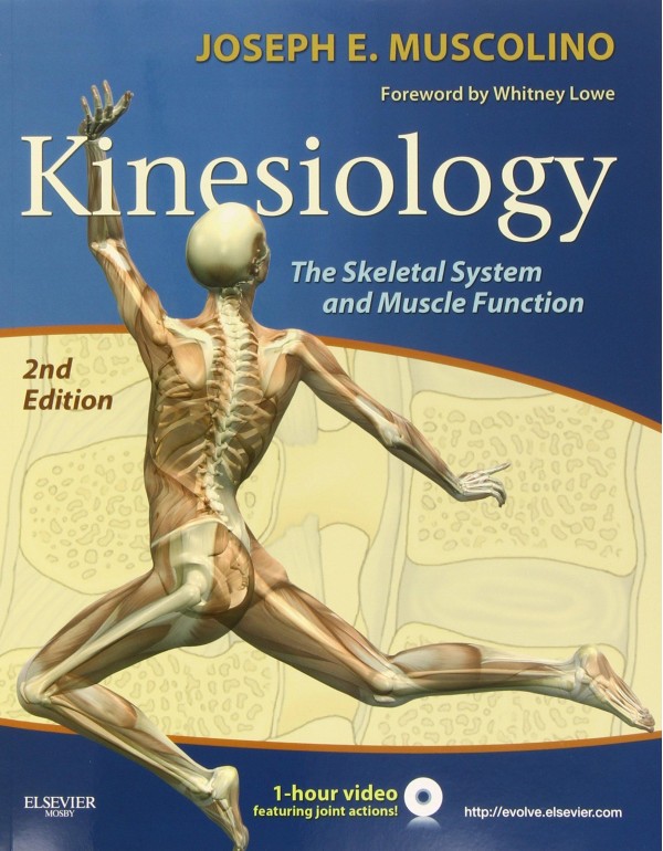 Kinesiology: The Skeletal System and Muscle Functi...