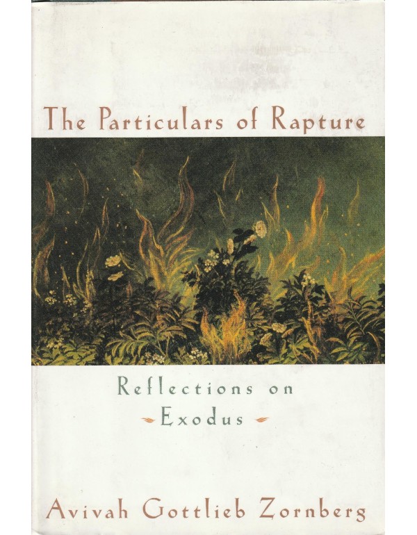 The Particulars of Rapture: Reflections on Exodus