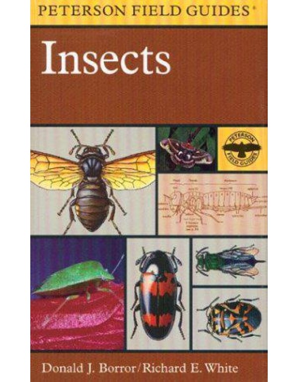 A Field Guide to Insects: America North of Mexico ...