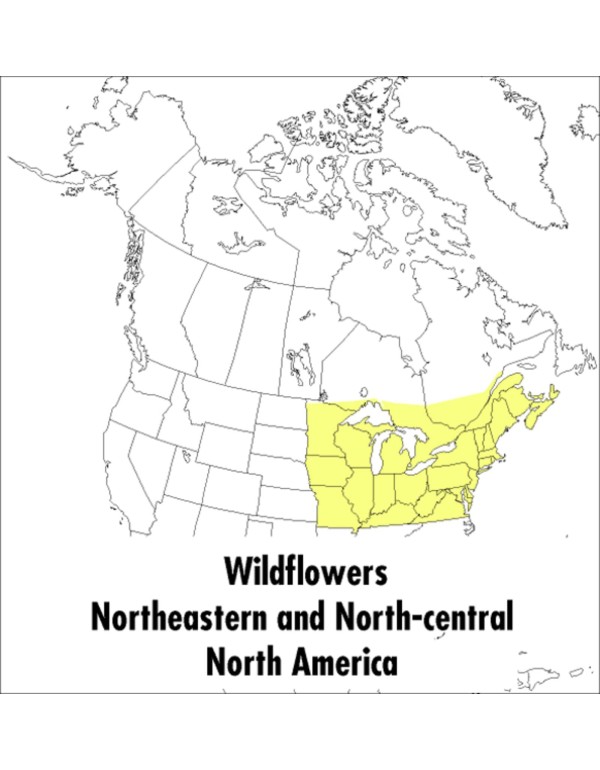 A Peterson Field Guide To Wildflowers: Northeaster...