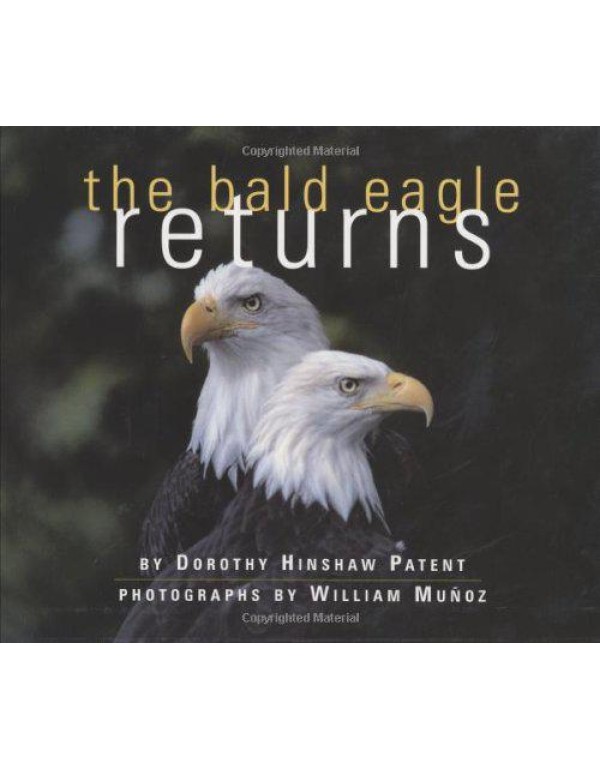 The Bald Eagle Returns