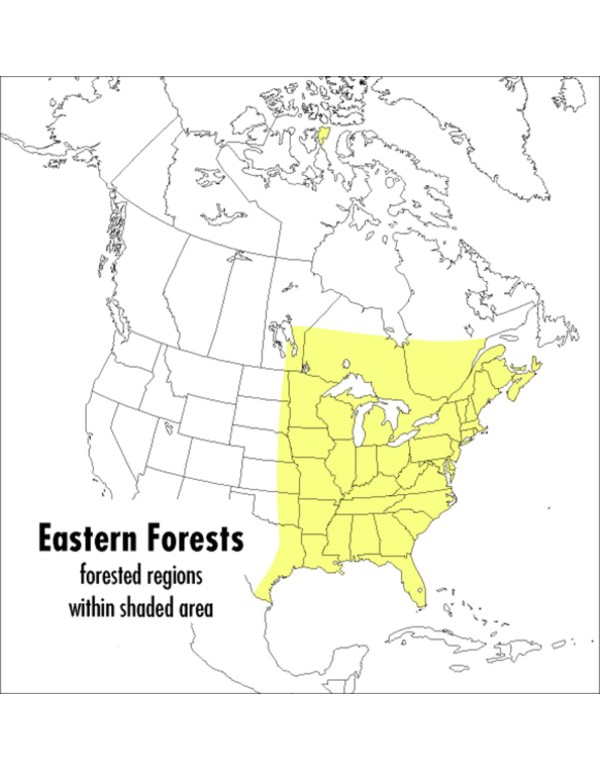 A Peterson Field Guide To Eastern Forests: North A...