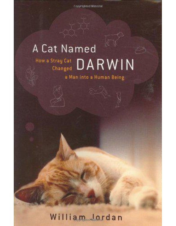 A Cat Named Darwin: How a Stray Cat Changed a Man ...