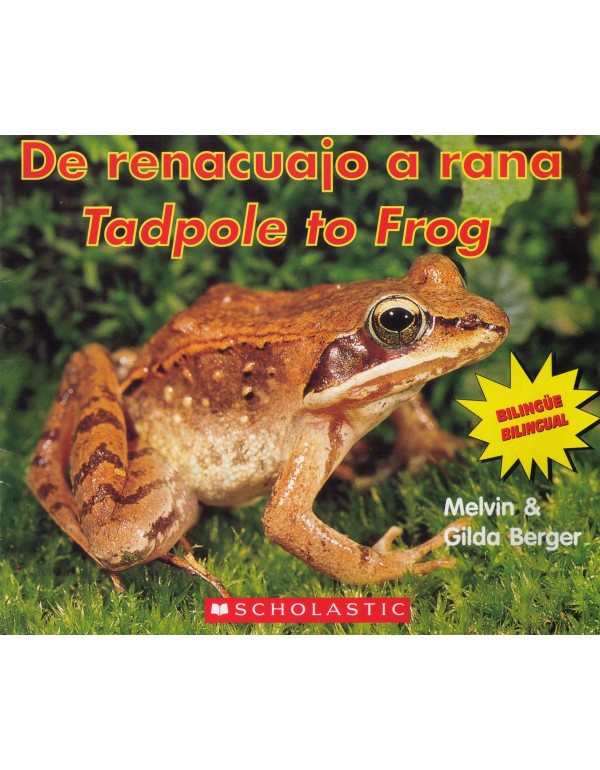 De Renacuajo a Rana/ Tadpole to Frog