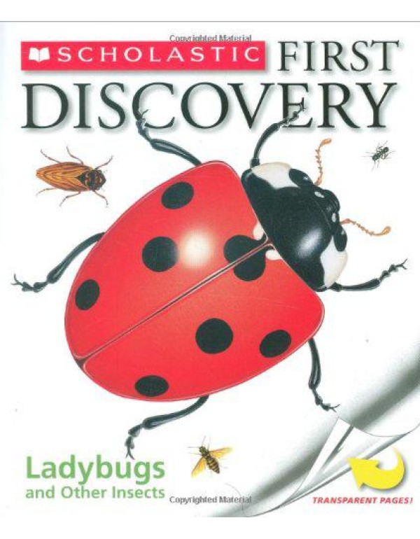 Ladybugs and Other Insects (Scholastic First Disco...