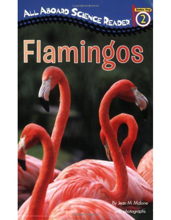 Flamingos (All Aboard Science Reader: Station Stop...