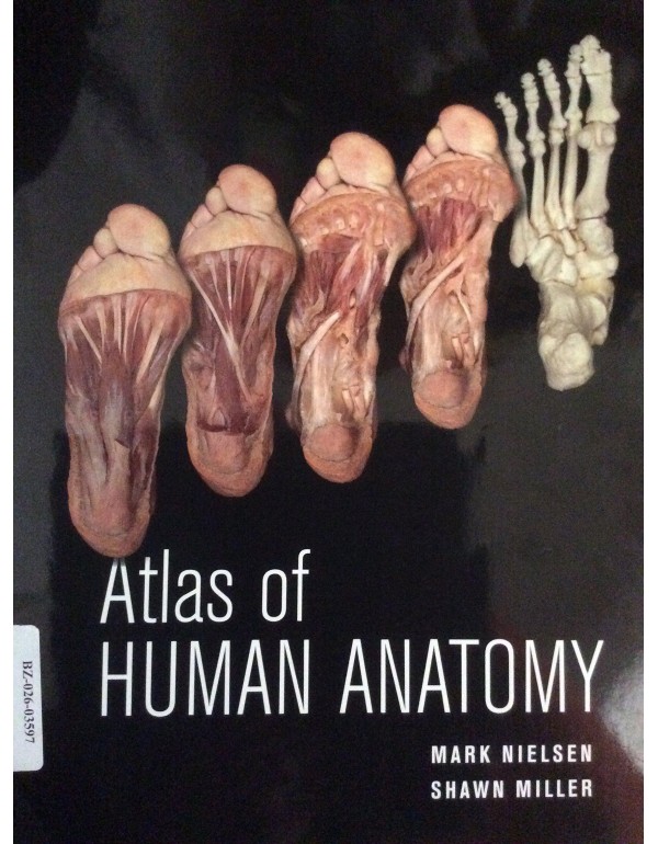 Atlas of Human Anatomy