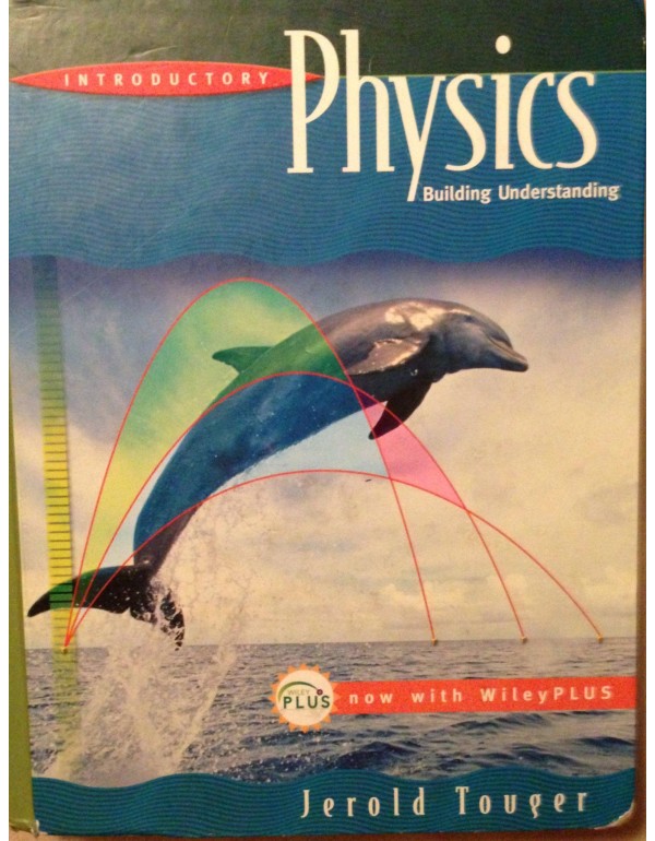 Introductory Physics: Building Understanding