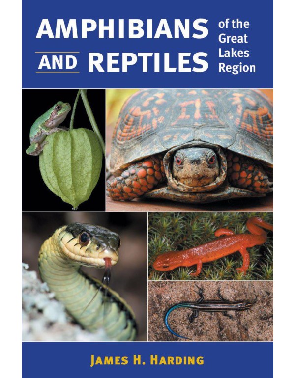 Amphibians and Reptiles of the Great Lakes Region ...