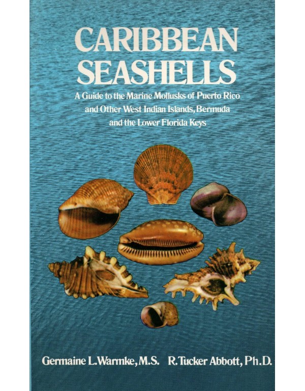 Caribbean Seashells: A Guide to the Marine Mollusk...