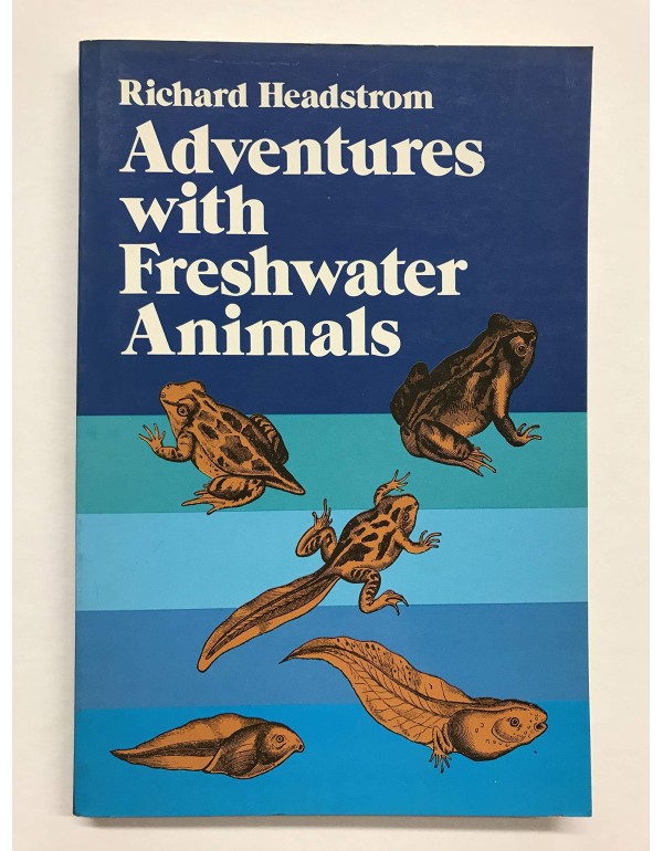 Adventures With Freshwater Animals