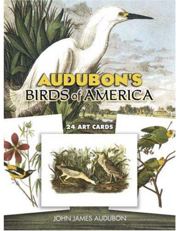 Audubon's Birds of America: 24 Art Cards