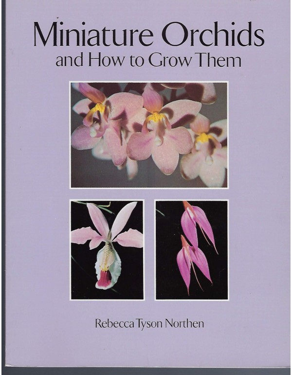 Miniature Orchids and How to Grow Them