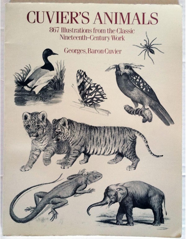 Cuvier's Animals: 867 Illustrations from the Class...