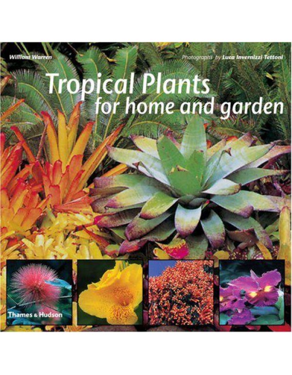 Tropical Plants for Home and Garden