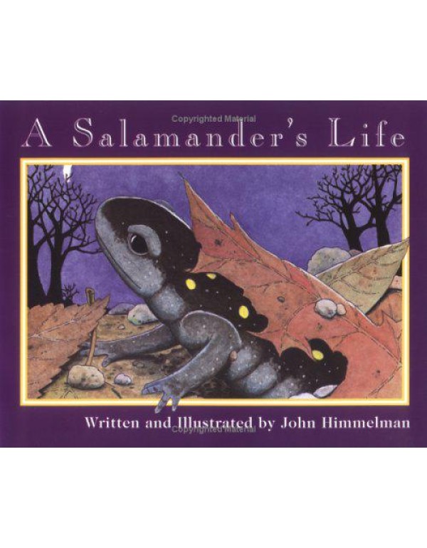 A Salamander's Life (Nature Upclose)