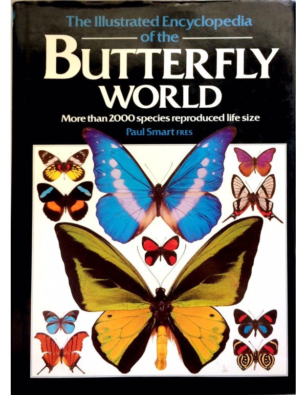 Illustrated Encyclopedia of the Butterfly World