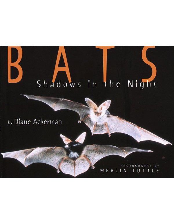 Bats - Shadows In The Night