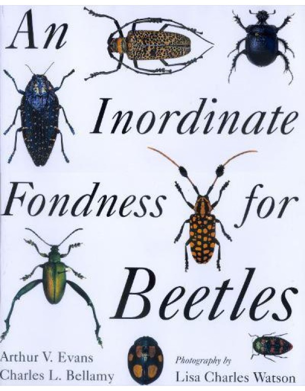 An Inordinate Fondness for Beetles