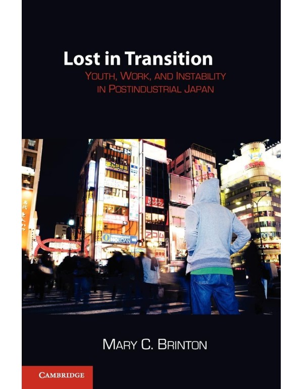 Lost in Transition: Youth, Work, and Instability i...