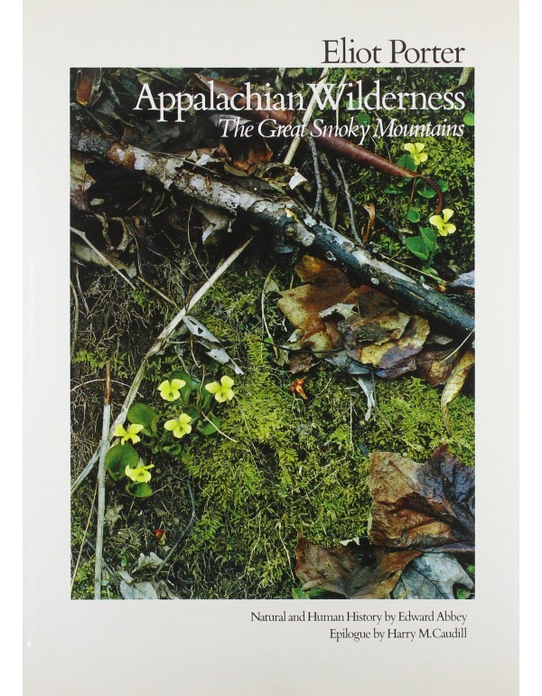 Appalachian Wilderness: The Great Smoky Mountains