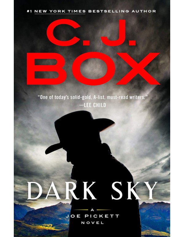 Dark Sky (A Joe Pickett Novel)